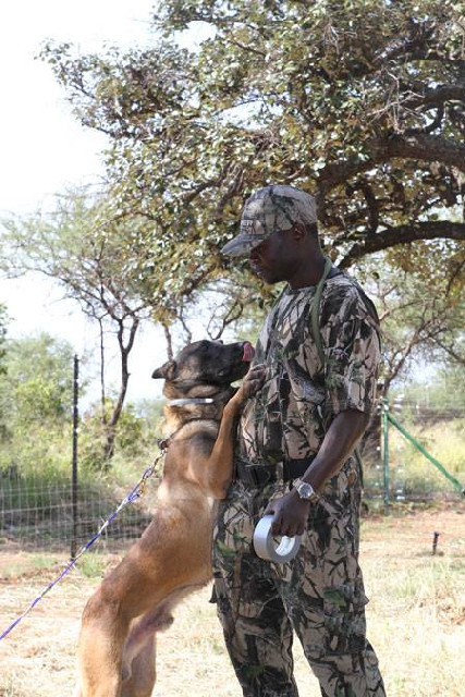 German Shepherd Malaysia